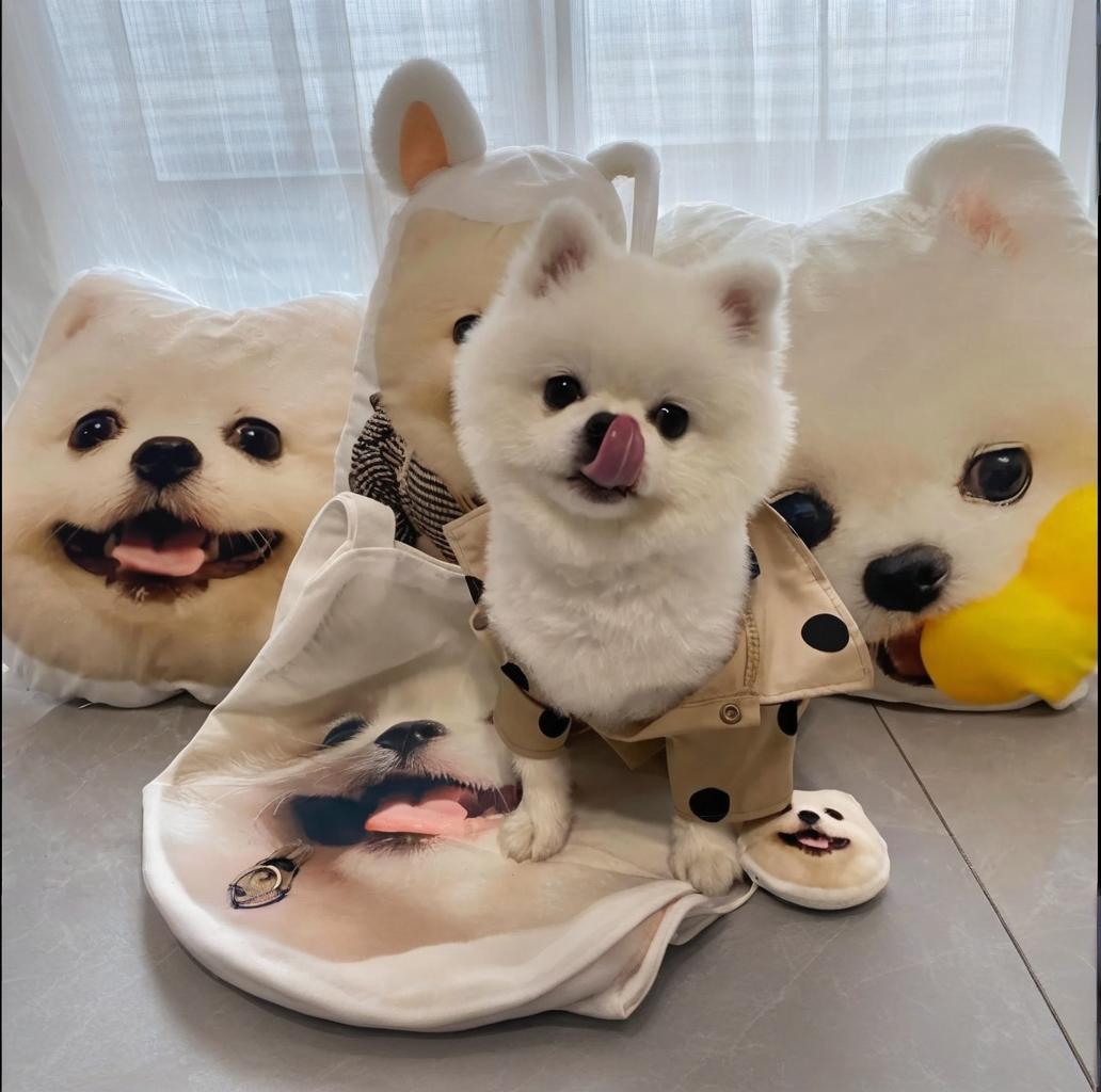 Custom Pet Photo Pillow: Cuddly Keepsake Gift